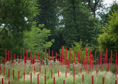 Jardin Millésimé - © Solstice