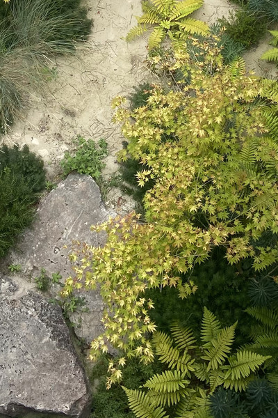 La Genevraye - © Solstice