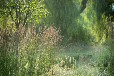 Malesherbes - © Solstice