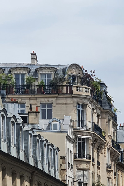 Rue de Grenelle - Paris - © Solstice