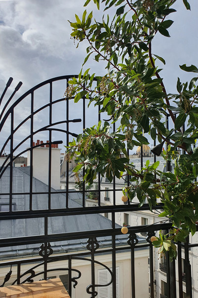 Rue de Grenelle - Paris - © Solstice